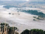 Semana começa com temperaturas abaixo de zero em SC