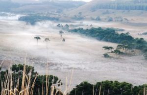 Semana começa com temperaturas abaixo de zero em SC