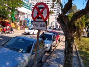 Guarda Municipal de Tubarão multa vários veículos estacionados em contramão de avenida