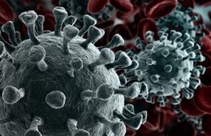 SC já tem 20.921 casos e 279 mortes por Covid-19