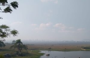 Mais uma razão para usar sua máscara