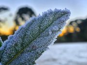 Frio chegou a -9ºC em SC nesta quarta-feira (15)