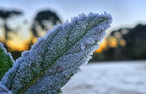 Frio chegou a -9ºC em SC nesta quarta-feira (15)