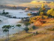 Sol e frio predominam nesta terça-feira em SC