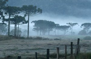 Serra catarinense registra mínima de -8ºC nesta quinta-feira (30)