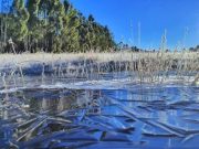 Forte frio desta sexta faz lago congelar em São Joaquim; tempo muda neste sábado (11)