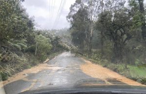Celesc registra maior dano da história da rede elétrica em SC com passagem de ciclone extratropical