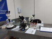 Tubarão segue sem registrar casos de Dengue em 2020