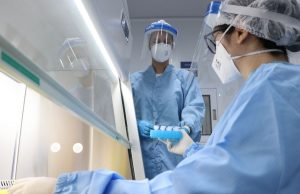 Covid-19: Brasil registra mais 1.274 mortes e 52.160 casos em 24 horas