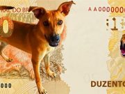 Nota de R$ 200: BC estuda moeda especial com vira-lata Caramelo