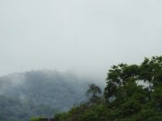 Tempo segue nublado e com chuva nesta quarta-feira (9)