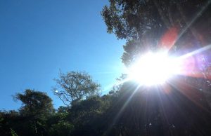 Sol e céu azul predominam em SC nesta quarta-feira (28); veja a previsão para quinta e sexta