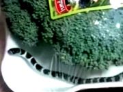 Cobra é encontrada dentro de embalagem de brócolis em supermercado de SC