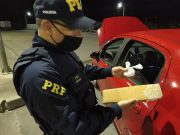 Pai e filhos gêmeos são presos por tráfico de drogas em Tubarão