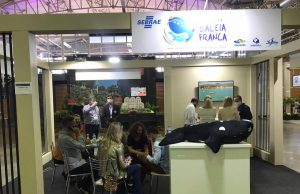 Rota da Baleia-Franca é apresentada em festival de turismo de Gramado