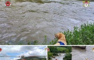 Bombeiros retomam buscas a homem com necessidades especiais que desapareceu em SL