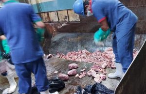 Sem citar de onde, Vigilância Sanitária apreende, em Tubarão, 300 kg de carne fora da norma