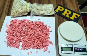 1,6 mil compridos de ecstasy são apreendidos pela PRF na BR-101, em Paulo Lopes