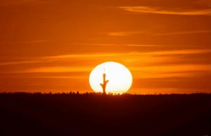 Coluna Léo Rosa de Andrade: ‘Por todo aquele verão’