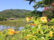Movimento Tubarão é Mais segue com ações para alavancar pequenos negócios de turismo