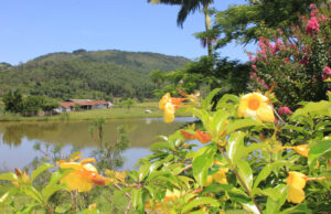 Movimento Tubarão é Mais segue com ações para alavancar pequenos negócios de turismo