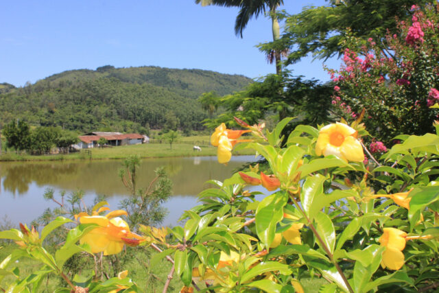 Região de Termas da Guarda - Foto Arquivo PMT