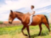 Imbituba: Adolescente de 14 anos fica ferida ao cair de cavalo em trilha