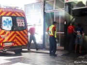 Pit bull ataca criança de 10 anos no bairro Cabeçuda, em Laguna