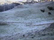 Depois de gear em SC, calor volta com força à região nesta semana