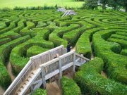 Coluna Léo Rosa de Andrade: ‘A angústia de Éle’