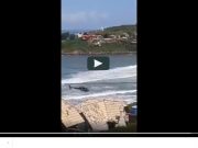 Vídeo: Homem cai no mar em costão no Farol de Santa Marta