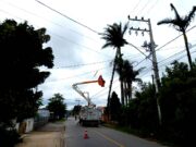 Defesa Civil realiza podas de árvores com riscos à rede elétrica