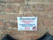 Quatro novos focos do Aedes Aegypti localizados