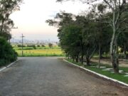 Unidade de Zoonoses instala câmera para flagrar abandono de animais em TB