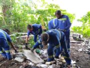 1,2 tonelada de resíduos são recolhidos de locais ocupados por moradores de rua em TB