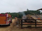 Trabalhador morre eletrocutado e carbonizado em Jaguaruna