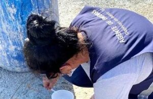 1° foco do Aedes aegypti é encontrado em Capivari de Baixo