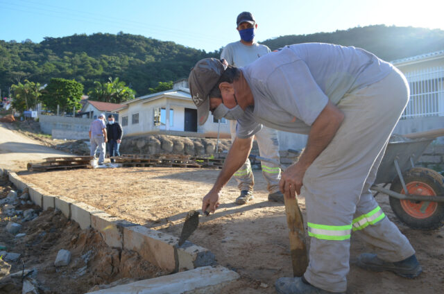 3068668_resize_1500_1500