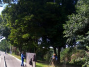 Em dois dias sete bairros de Tubarão recebem ações das equipes de serviços públicos.