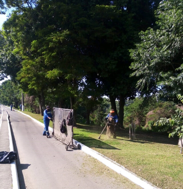 3072017_resize_1500_1500