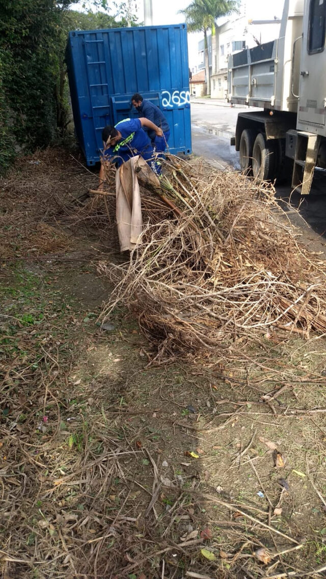 3086896_resize_1500_1500