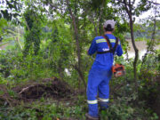 Com corte de mamoneiras, trepadeiras e cipós, Rio Tubarão volta a ter visibilidade