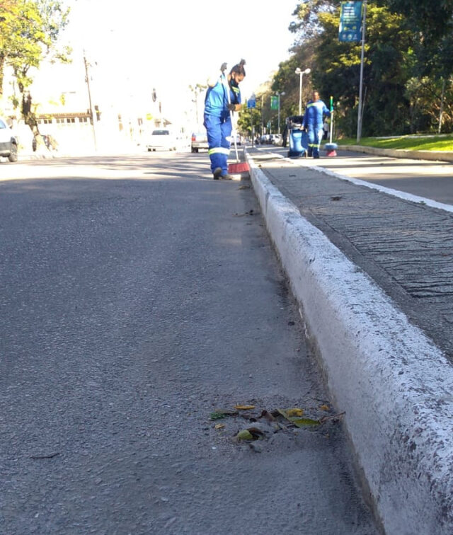 3118080_resize_1500_1500