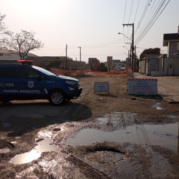 3143535_resample_600_600