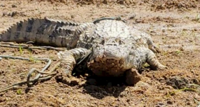 Screenshot_20211013-215357~2