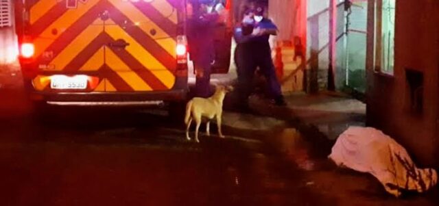 images - 2022-02-17T084909.293~2