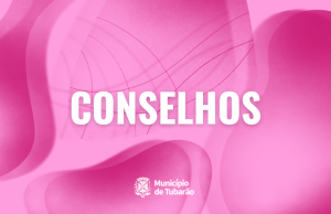 CONSELHO DA CIDADE REALIZA REUNIÃO ORDINÁRIA NESTA SEXTA-FEIRA (12)