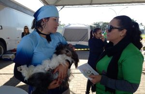 MUTIRÃO REALIZA 100 CASTRAÇÕES E 50 VACINAÇÕES DE CÃES E GATOS