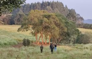 OPERAÇÃO CAÇA E TIRO
