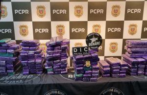 INVESTIGAÇÃO DA POLÍCIA CIVIL RESULTA EM PRISÃO DE RESPONSÁVEL PELO TRANSPORTE DE APREENDE APROXIMADAMENTE 150KG DE MACONHA